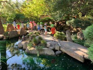 Read more about the article The Japanese Gardens